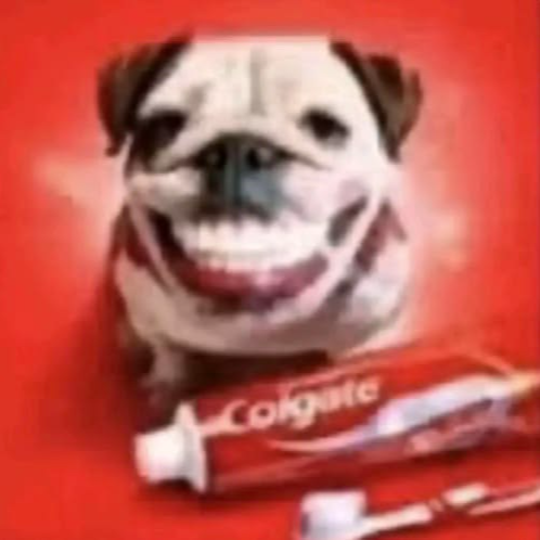 ZZOZ